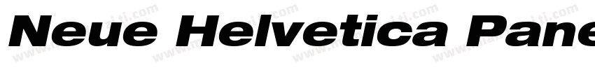 Neue Helvetica Paneuropean 93 Exten字体转换